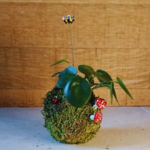 petit kokedama poétique plante au choix