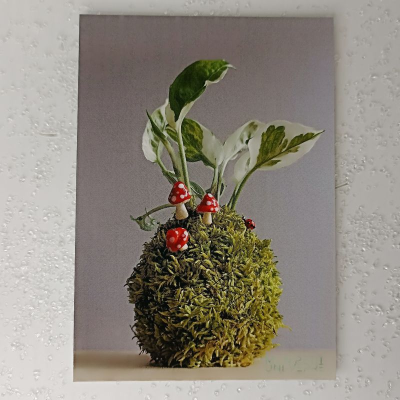 Carte "Petit mot doux" – Image 2