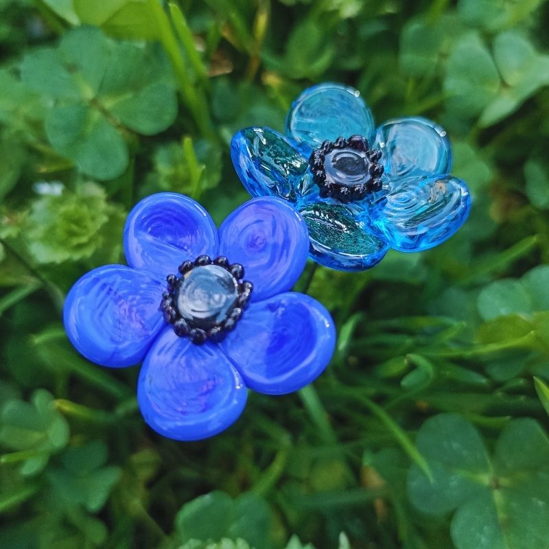 L'Anémone – Image 4