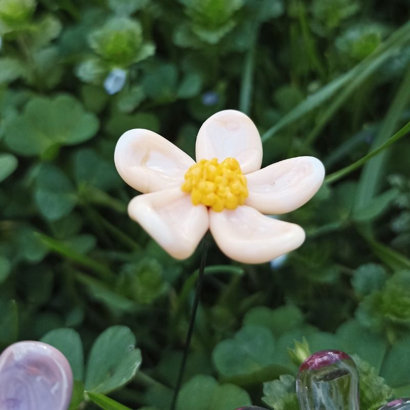 Le Cosmos – Image 2