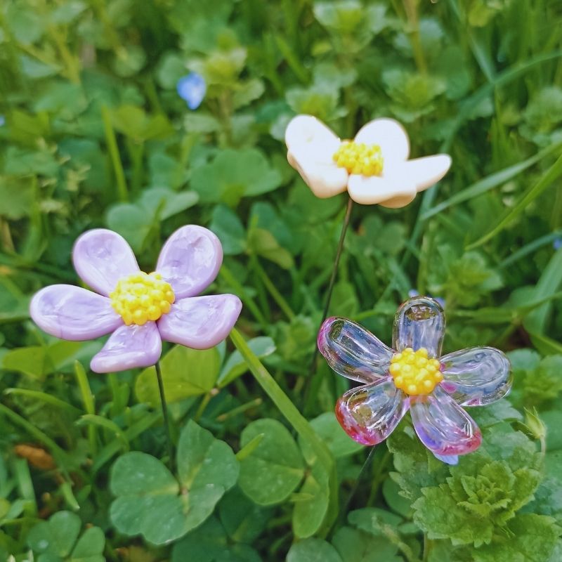 Le Cosmos – Image 3