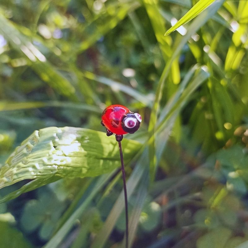Les Petits Visiteurs de vos Bouquets – Image 4