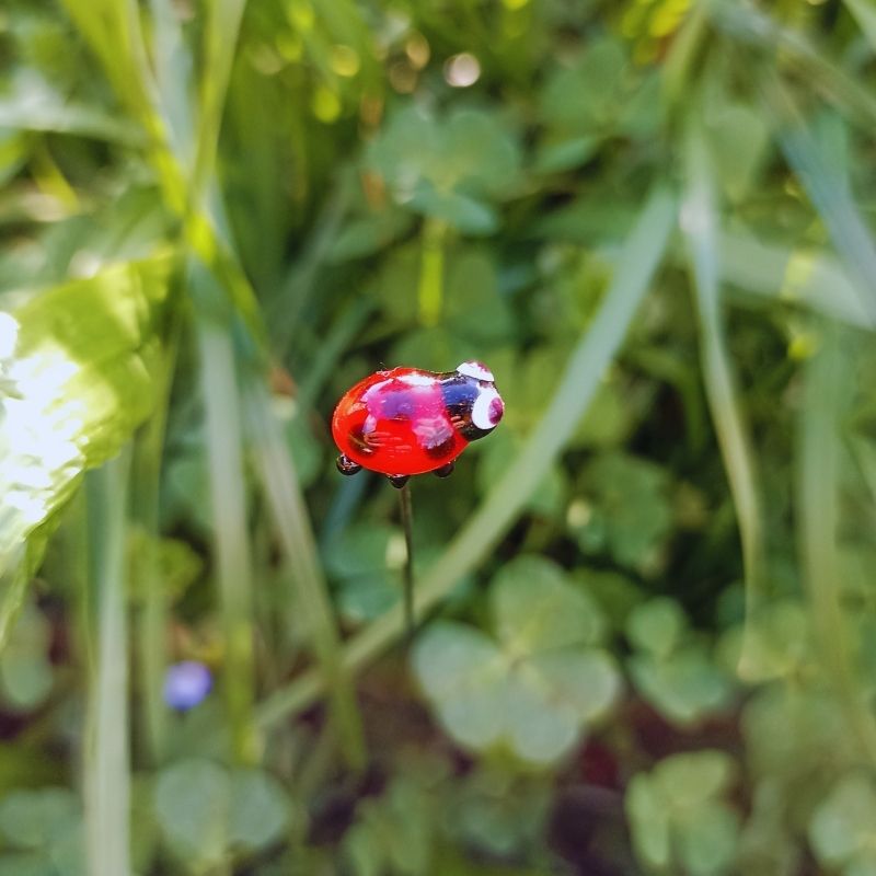 Les Petits Visiteurs de vos Bouquets – Image 5