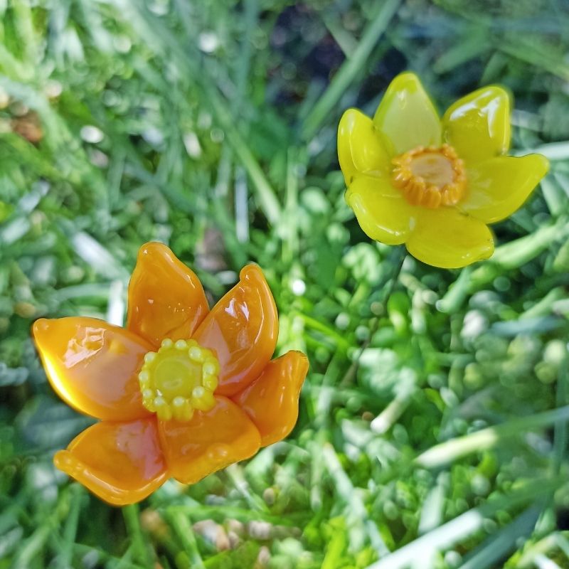 La Jonquille – Image 2