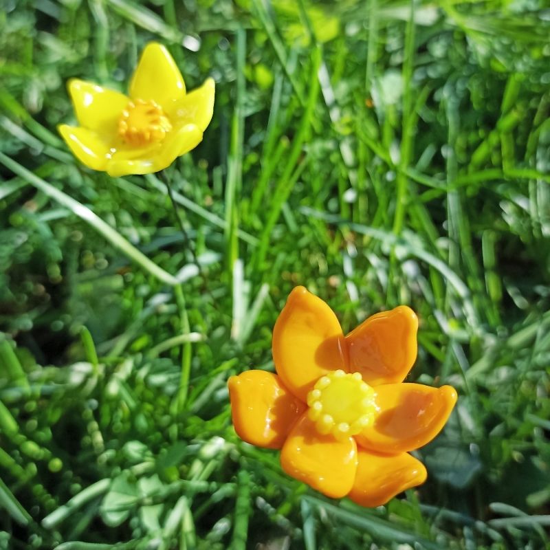 La Jonquille – Image 4