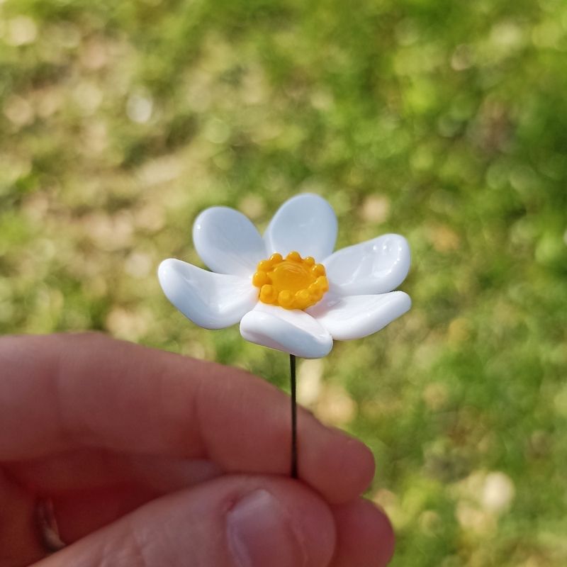 La Marguerite – Image 5