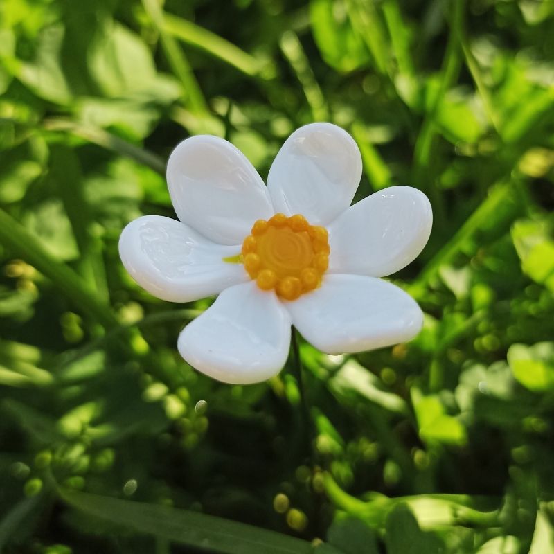 La Marguerite – Image 2