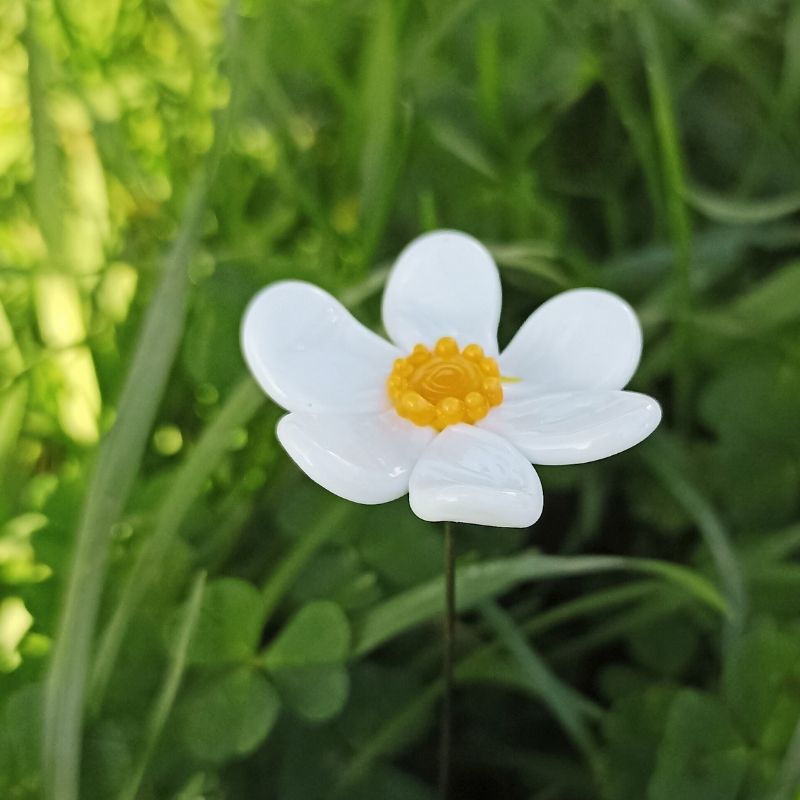 La Marguerite – Image 4