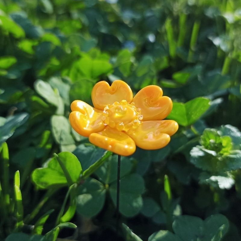 Le Millepertuis – Image 3