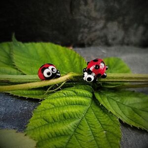 boucles-d-oreilles-coccinelles-puce-en-verre-murano-Mon-petit-uni-verre