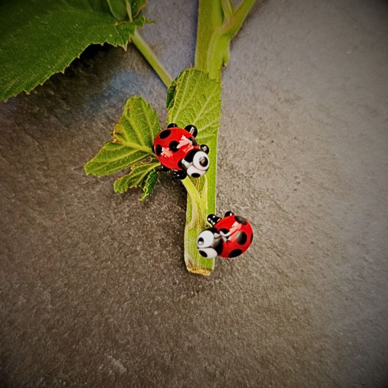 Puces d'Oreilles Coccinelle en verre filé – Collection Jardin – Image 2